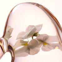 Softening Perfecting Toner  400ml-215349 Softening Perfecting Toner  400ml-215349 3